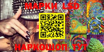 гидра Кингисепп