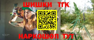 гидра Кингисепп