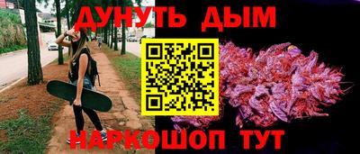 гидра Кингисепп