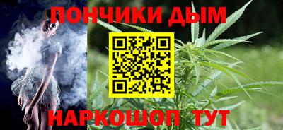 гидра Кингисепп