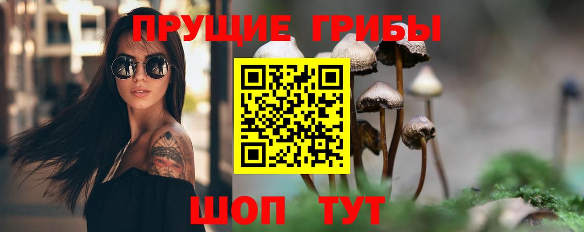 Псилоцибиновые грибы прущие грибы  Вход с VPN  Галлюциногенные грибы Psilocybe  Кохма 